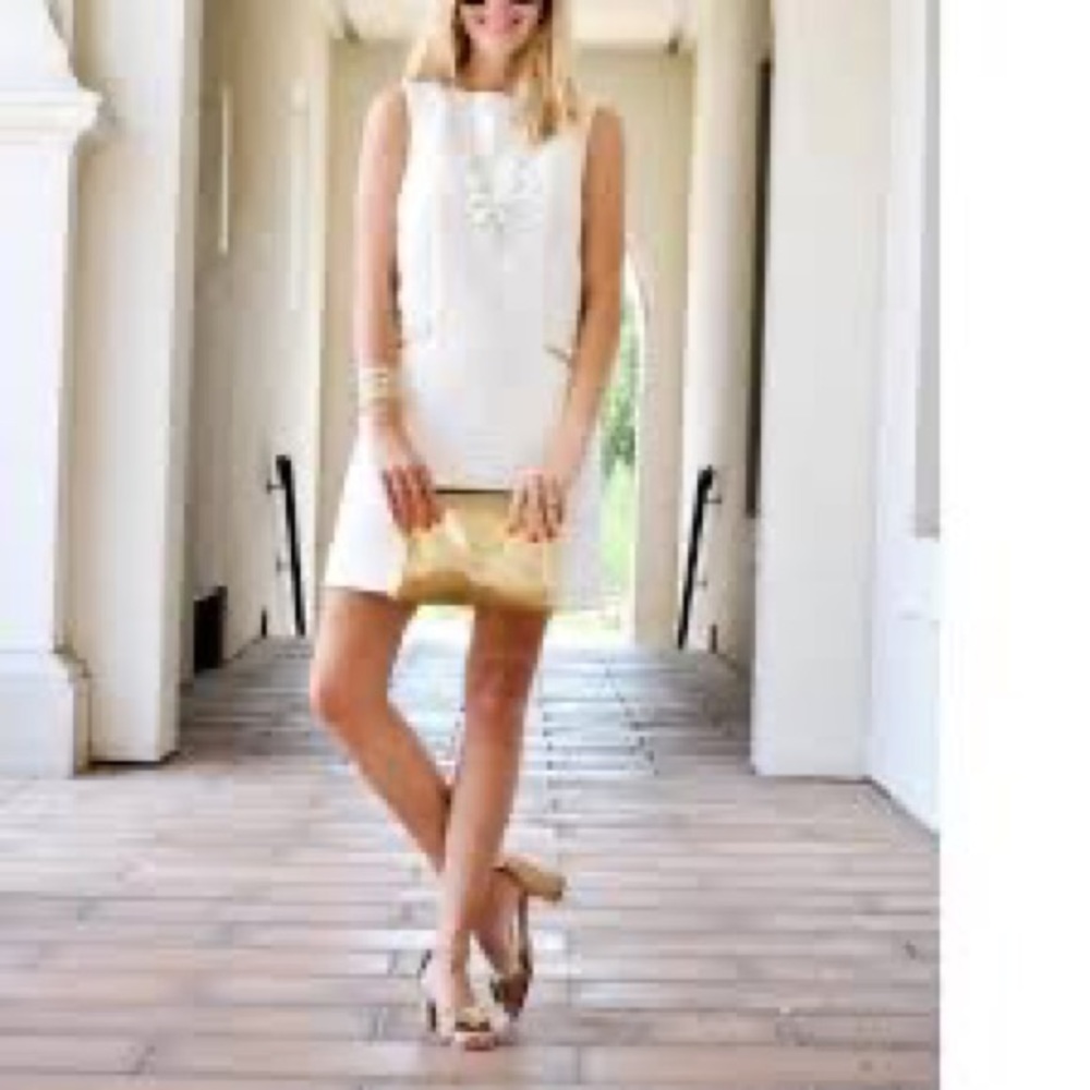 Jcrew ashen quartz color jacquard pattern vest shift dress slip dress xs